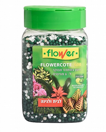 ��� 800 ��� ����� ���� FLOWERCOTE