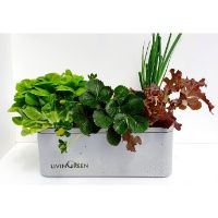 GreenBox G8 ����� ������ ��������� � 6 �����