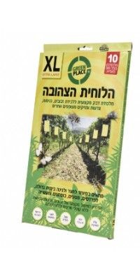 ������ ������ XL ���� GREEN PLACE