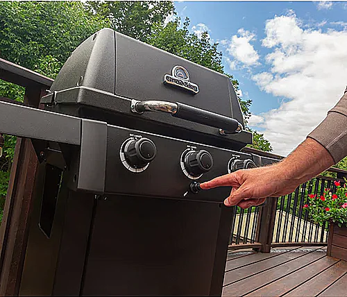 ���� �� 3 ������ ����� ���� Broil King Gem 310