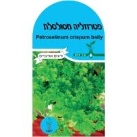 זרעי פטרוזליה מסולסלת זרעי פטרוזליה מסולסלת