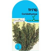 זרעי קורנית (טימין) זרעי קורנית (טימין)