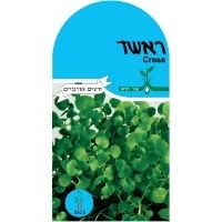 זרעי ראשד זרעי ראשד