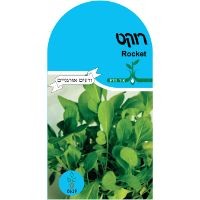 ���� ����