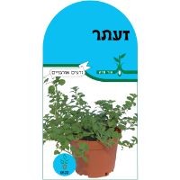 זרעי זעתר זרעי זעתר