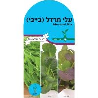 זרעי עלי חרדל (בייבי) זרעי עלי חרדל (בייבי)