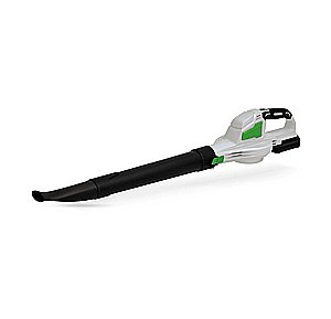 ���� ���� ���� 20V CUT ���� ����� ����� | ���� �� ���� 241 ��"�