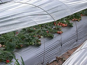 �� ����� ���� ������ ���� ���� 1 ���