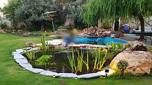 ערכה מושלמת להקמת בריכת נוי 150 ליטר ערכה מושלמת להקמת בריכת נוי 150 ליטר