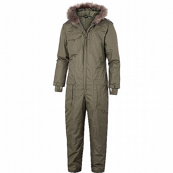 ������� ����� ���� Cyclone II overall