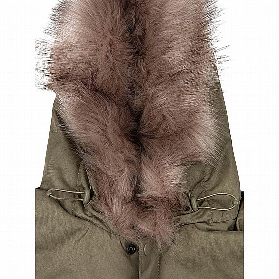 ������� ����� ���� Cyclone II overall