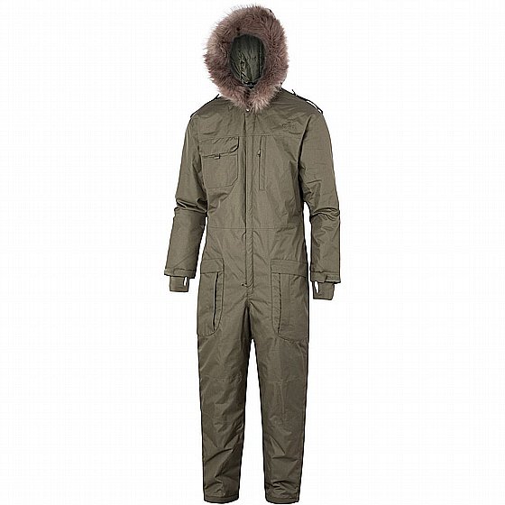 ������� ����� ���� Cyclone II overall