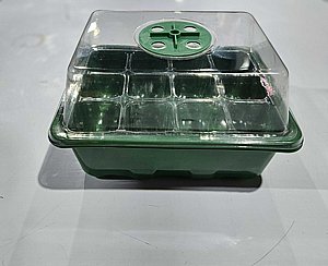 ����� ���� 12 ������ 