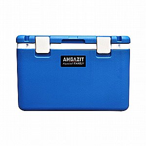 ������ ����� 55 ����