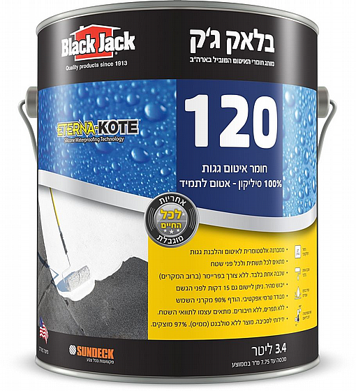 ���� �� 120 - ���� ����� ���� 100% ������� - ���� �����-���� 3.3 ����