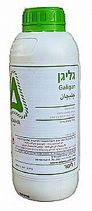 ����� EC-24 �� 1�' ADAMA GALIGAN