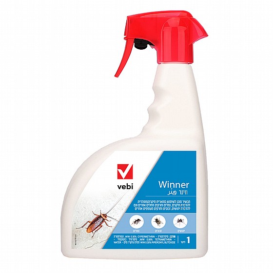Winner - ����� ���� ���� �����