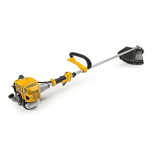 ���� ���� ����� ����� BC 535 ��� 33 ��"� �����