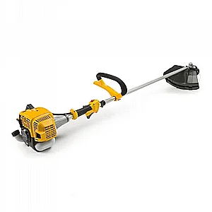 ���� ���� ����� ����� BC 535 ��� 33 ��"� �����