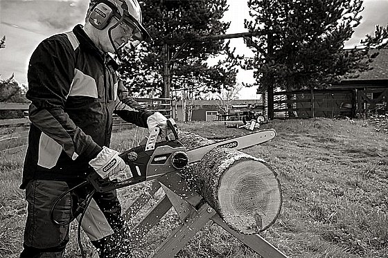 ���� ����� ����� CS1400 ��� "16 ������ OREGON