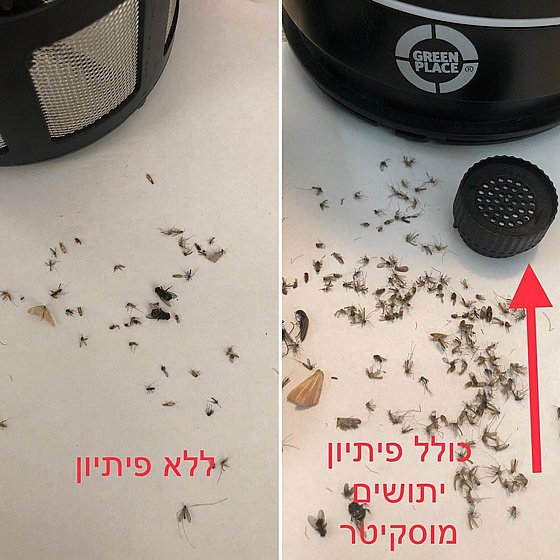 ������ home ���� ������ ������ �������