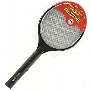 ���� �������� ������ ������