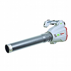 ���� ���� IKRA IAB 20-1M