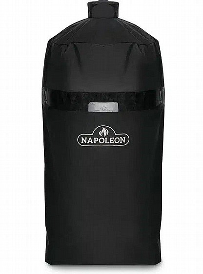 ����� ������ NAPOLEON APOLLO 200