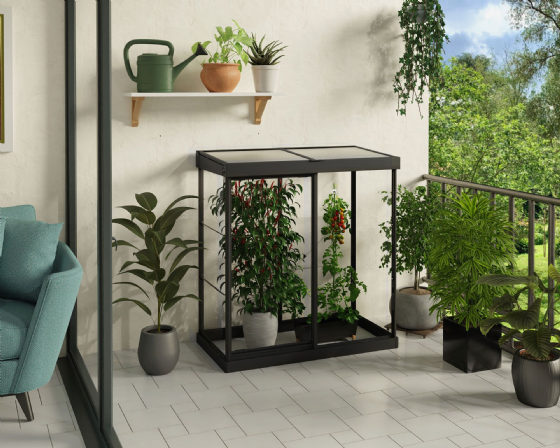 ���� ���� 1.3X0.6 ��� Canopia IVY
