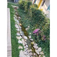 �� ����� ��� ��� �����