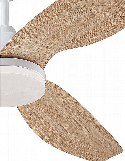������ ���� ������� 52" WESTINGHOUSE CCT Magnolia ��� ������ ���� �� ����