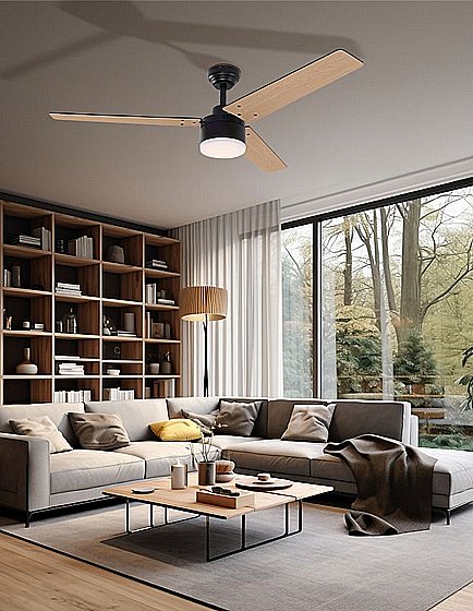 ������ ���� 52" TALIA ���� WESTINGHOUSE DC ���
