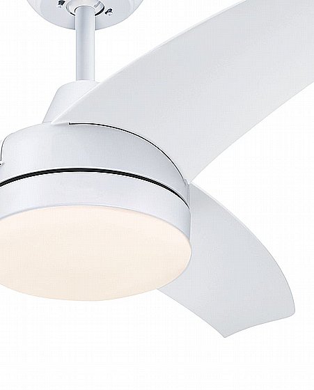 ������ ���� 42" LONGWOOD ������� WESTINGHOUSE ���