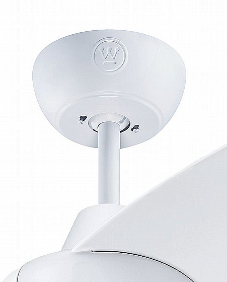 ������ ���� 42" LONGWOOD ������� WESTINGHOUSE ���