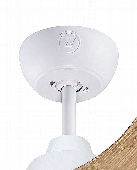 ������ ���� 42" MONTANA ������ WESTINGHOUSE ��� ������� ���� �� ����