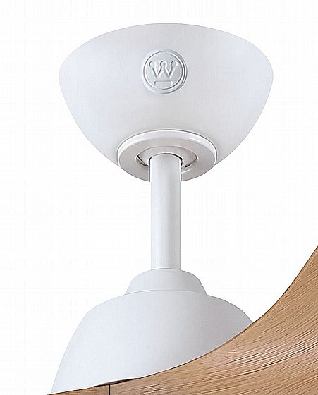 ������ ���� 42" ERICA ����� WESTINGHOUSE ��� ������ ���� �� ����