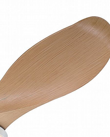 ������ ���� 42" ERICA ����� WESTINGHOUSE ��� ������ ���� �� ����