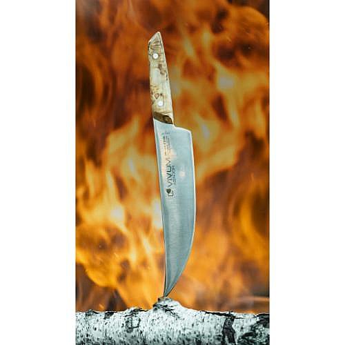 ���� ������� ASADOR ��� ���� 22 �"� DICK | VIVUM