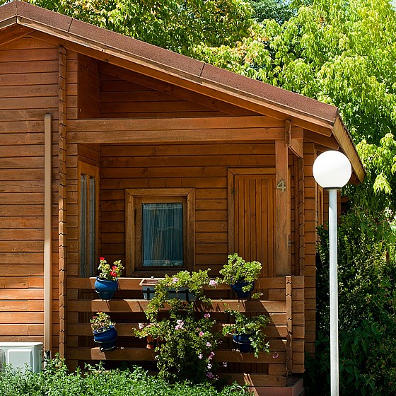 ���� ��� - ����� ������� ���� ��� Sikkens Cetol BLX-Pro