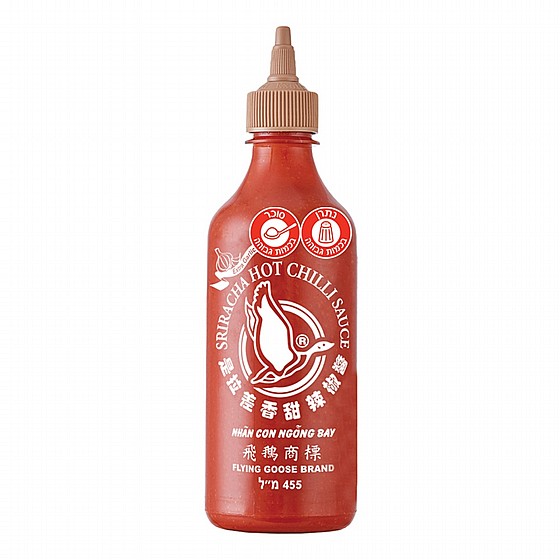 455 ��� ���� ������� ���� ���� �� ��� FLYING GOOSE