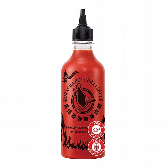 455 �"� ���� ������� ���� (blackout) FLYING GOOSE