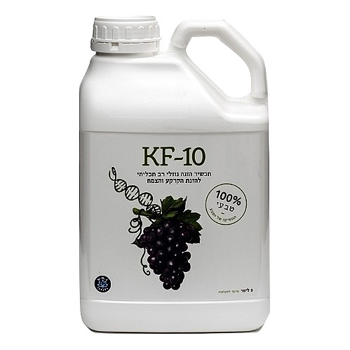 ��� ����� 5 ���� ������ KF-10