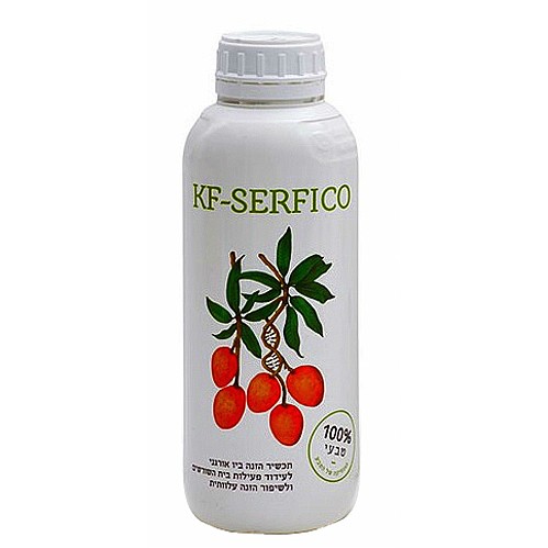 ��� ���� KF-SERFICO ����� 1 ����