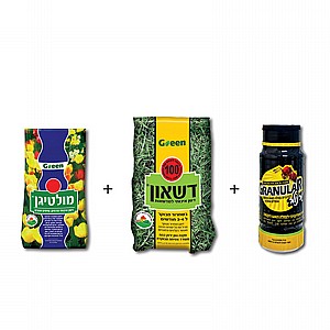 ����� ����� ������ �����