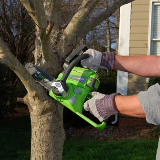 ���� ����� 24V ���� (��� ����) ���� ����� greenworks