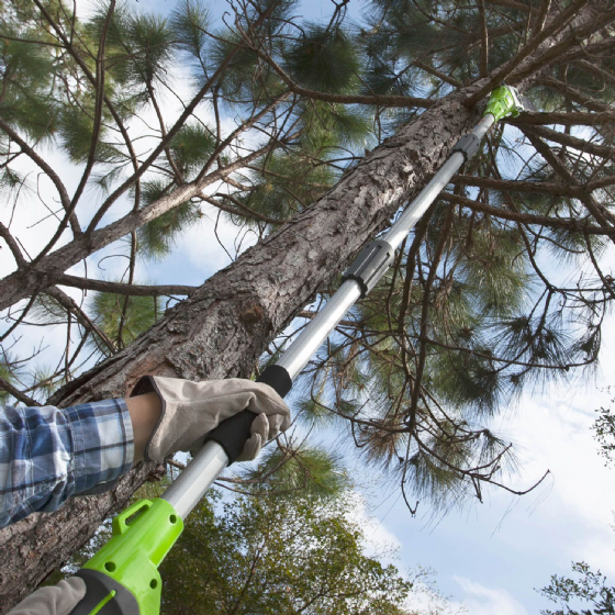 ���� ����� 24V (��� ����) ���� ����� greenworks
