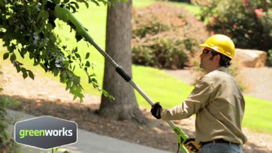 ���� ��� ��� ����� 24V ������� (��� ����) ���� ����� greenworks