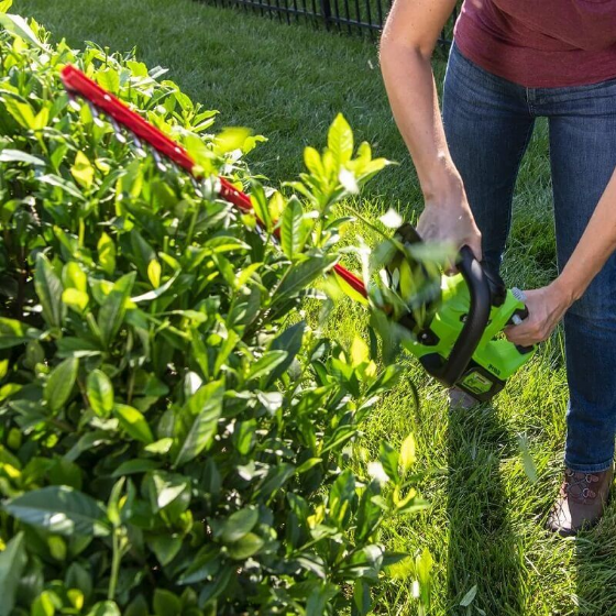 ���� ��� ��� 24V ���� ������� 56 �"� Deluxe (��� ����) ���� ����� Greenworks