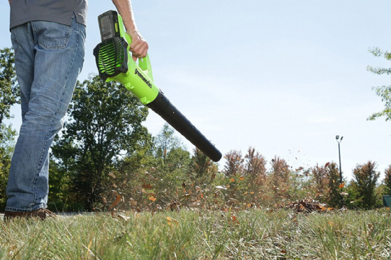 ���� ���� 24V (��� ����) ���� ����� greenworks