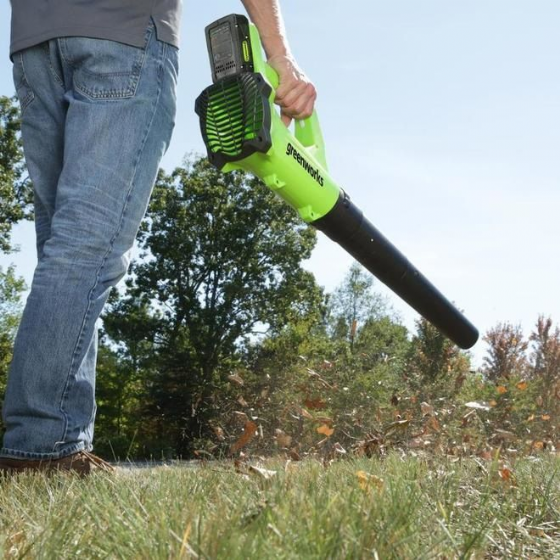 ���� ���� 24V (��� ����) ���� ����� greenworks